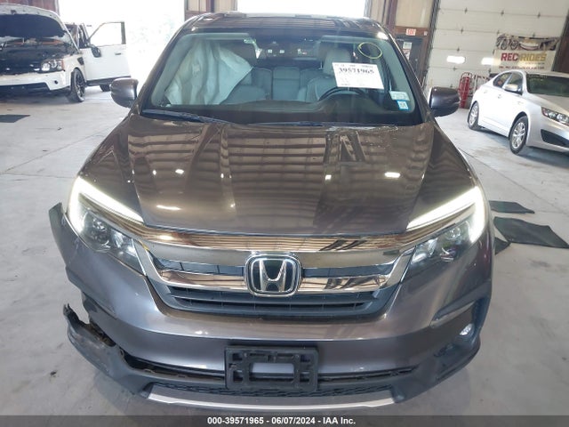 Honda Pilot Awd Ex-l 2021 5FNYF6H54MB062559 Image 12