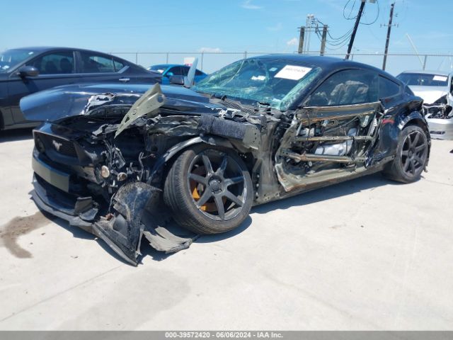1FA6P8CF3F5369263 Ford Mustang Gt Premium