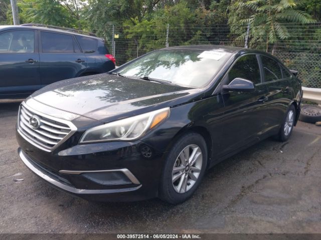 5NPE24AF8GH311280 Hyundai SONATA SE