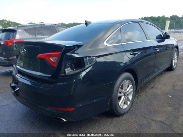 5NPE24AF8GH311280 Hyundai SONATA SE