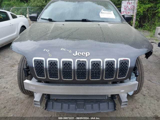 Jeep Cherokee Limited 4x4 2020 1C4PJMDX0LD565968 Image 11