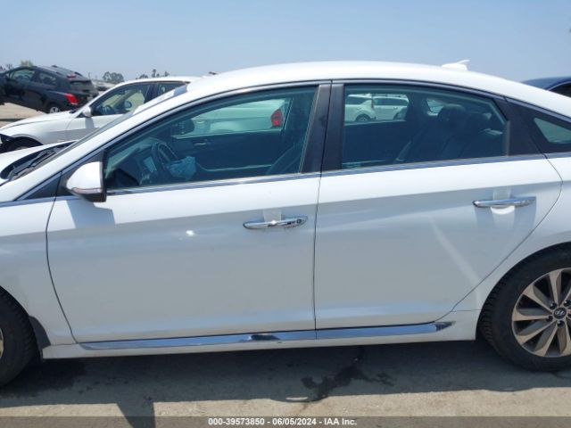 5NPE34AF1GH279091 Hyundai Sonata Sport