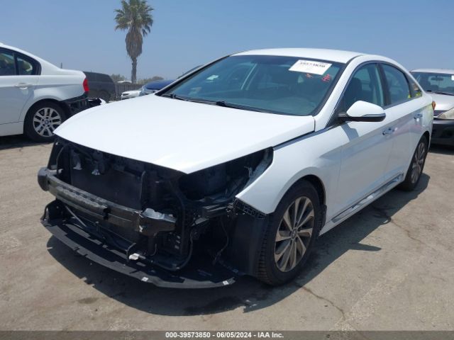 5NPE34AF1GH279091 Hyundai Sonata Sport