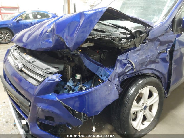 Ford ESCAPE SE 2014 1FMCU9G99EUD38762 Image 6