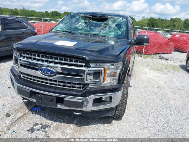 Ford F-150 Xlt 2019 1FTEW1EP3KFA39472 Image 12