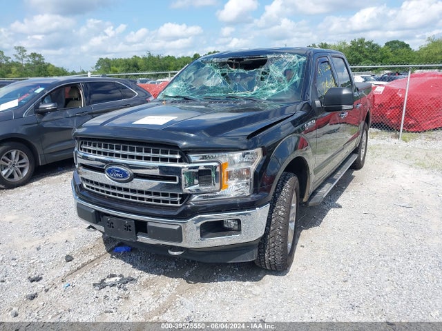 Ford F-150 Xlt 2019 1FTEW1EP3KFA39472 Image 2