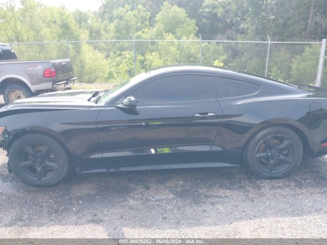1FA6P8AM7H5253990 Ford Mustang V6