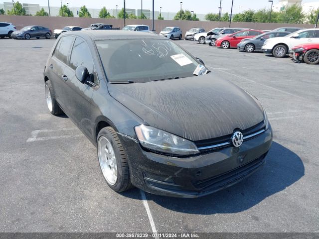 3VW217AU3FM095821 auction archive image