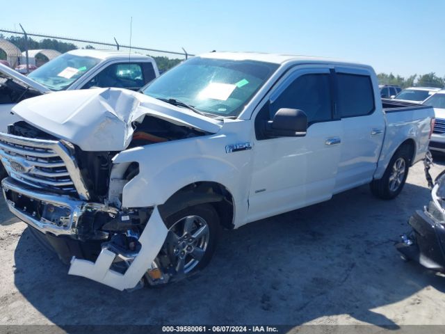 1FTEW1CP9HFA70107 Ford F-150 Xlt