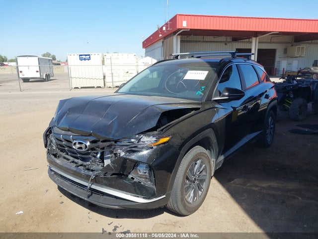KM8JBCA19PU105867 Hyundai Tucson Hybrid Blue