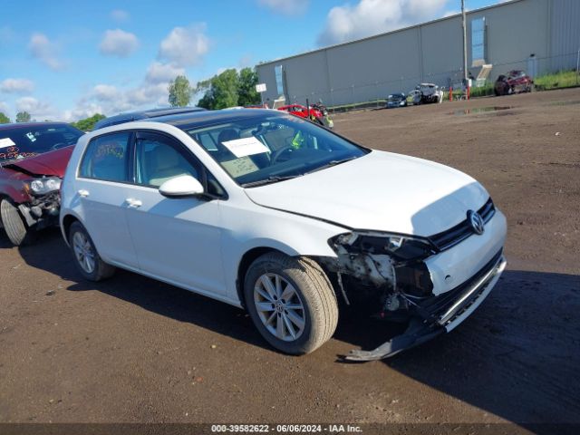 3VW217AU2FM015764 auction archive image