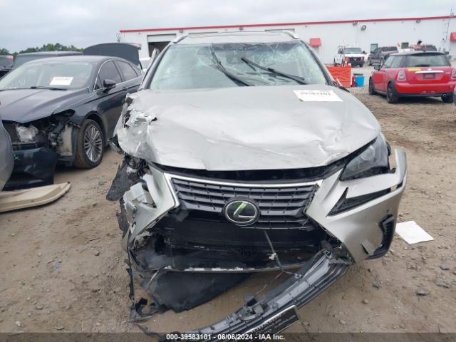 JTJYARBZ8J2096494 Lexus NX 300