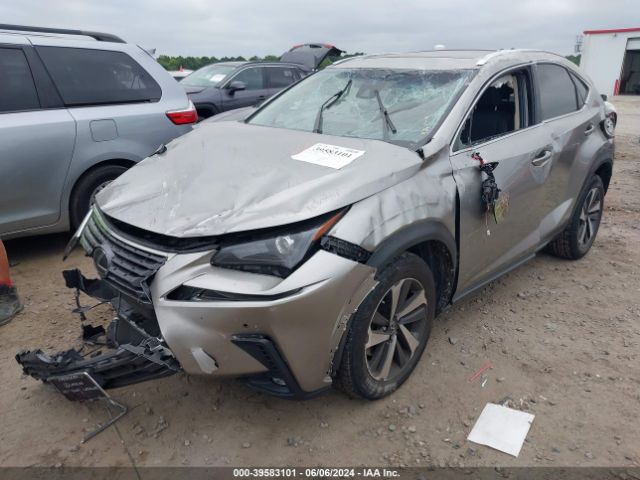 JTJYARBZ8J2096494 Lexus NX 300