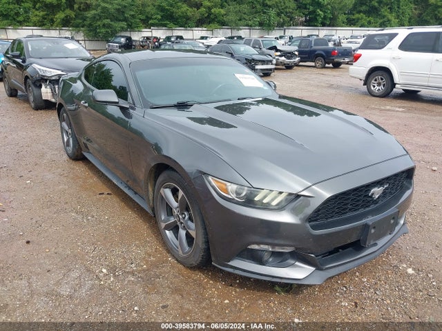 2016 1FA6P8AM2G5246167 main image