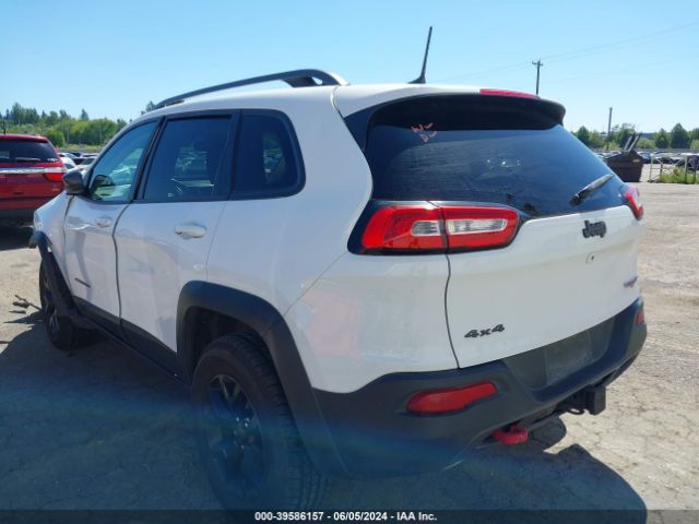 1C4PJMBS8GW317792 Jeep Cherokee Trailhawk