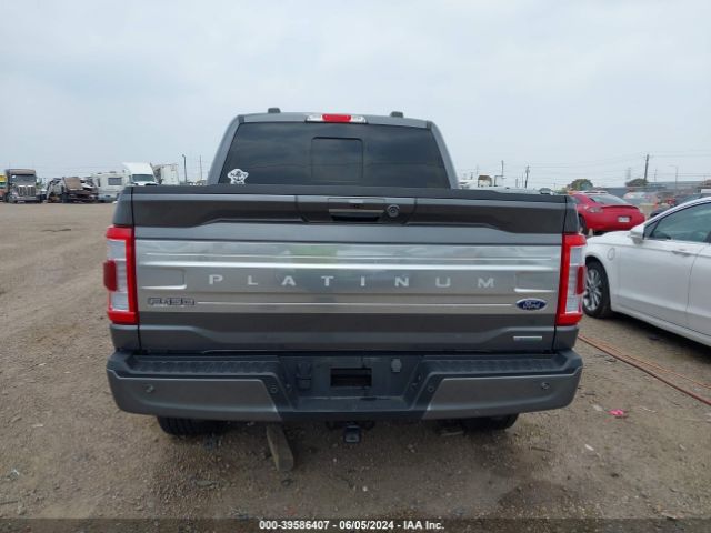 1FTFW1E81PFB52664 Ford F-150 Platinum