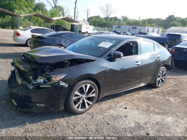 1N4AA6AP7GC905365 Nissan Maxima 3.5 Platinum