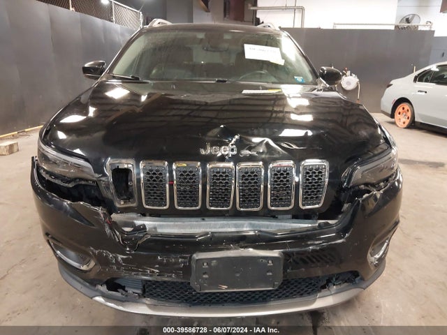 Jeep Cherokee Limited 4x4 2019 1C4PJMDN3KD229888 Image 12