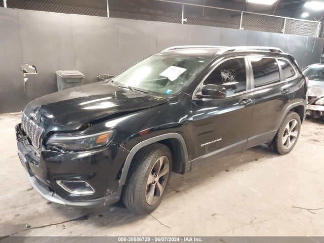 Jeep Cherokee Limited 4x4 2019 1C4PJMDN3KD229888 Image 2