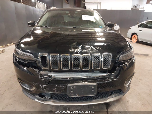 Jeep Cherokee Limited 4x4 2019 1C4PJMDN3KD229888 Image 6