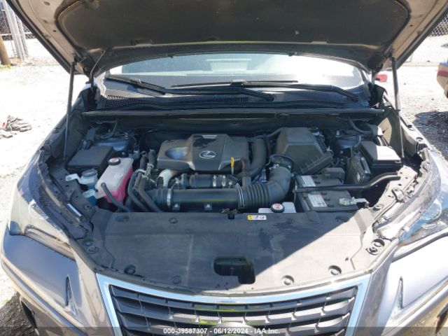 JTJGARDZ6M2249676 Lexus NX 300