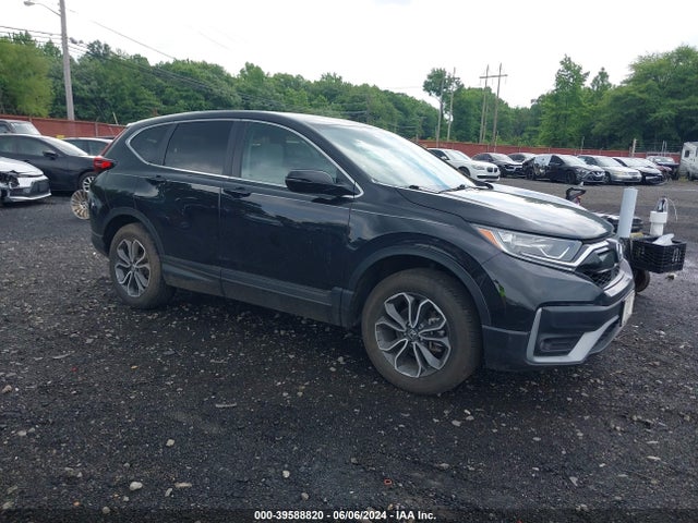 2020 5J6RW2H50LL030534 main image