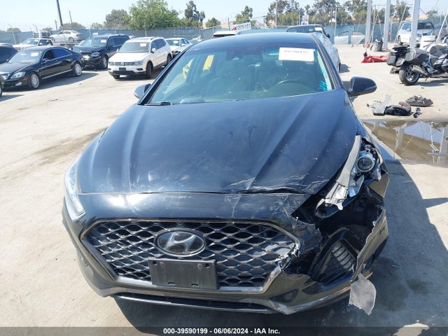 Hyundai SONATA SEL 2019 5NPE34AF0KH742640 Image 12