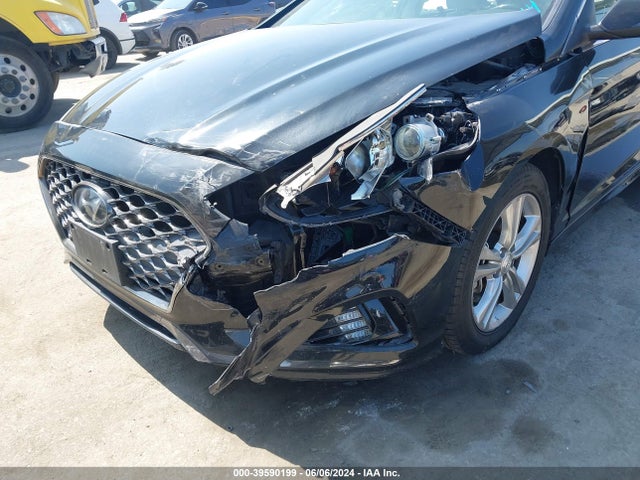 Hyundai SONATA SEL 2019 5NPE34AF0KH742640 Image 6