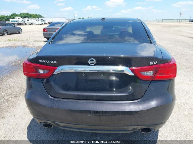 1N4AA6AP0GC380181 Nissan Maxima 3.5 Platinum/3.5 S/3.5 Sl/3.5 Sr/3.5 Sv