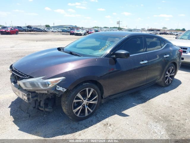 1N4AA6AP0GC380181 Nissan Maxima 3.5 Platinum/3.5 S/3.5 Sl/3.5 Sr/3.5 Sv