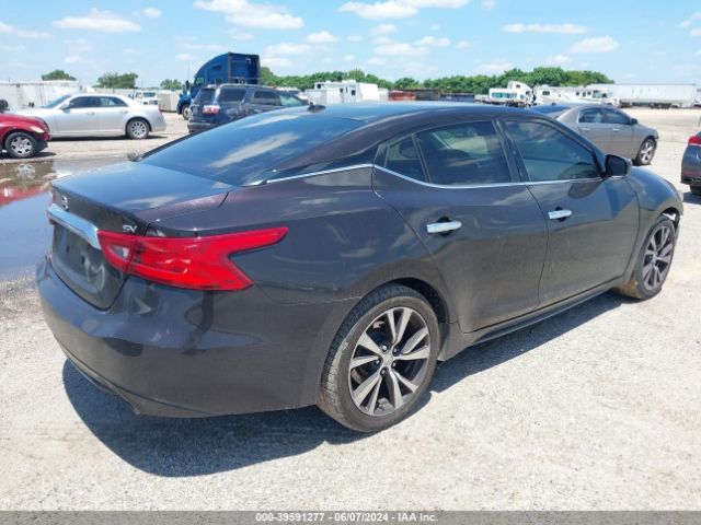 1N4AA6AP0GC380181 Nissan Maxima 3.5 Platinum/3.5 S/3.5 Sl/3.5 Sr/3.5 Sv