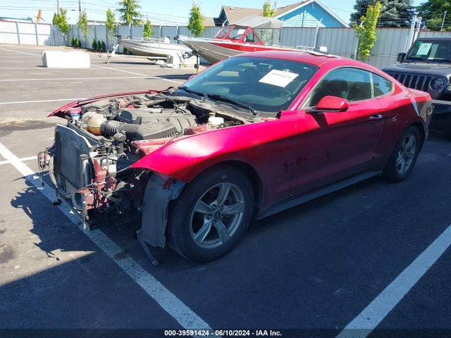 Ford Mustang Ecoboost Fastback 2020 1FA6P8TH1L5118450 Image 2