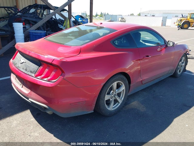 Ford Mustang Ecoboost Fastback 2020 1FA6P8TH1L5118450 Image 4