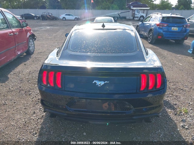 Ford Mustang Ecoboost Fastback 2021 1FA6P8TH3M5113087 Image 16