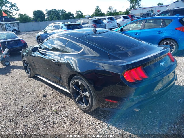 Ford Mustang Ecoboost Fastback 2021 1FA6P8TH3M5113087 Image 3