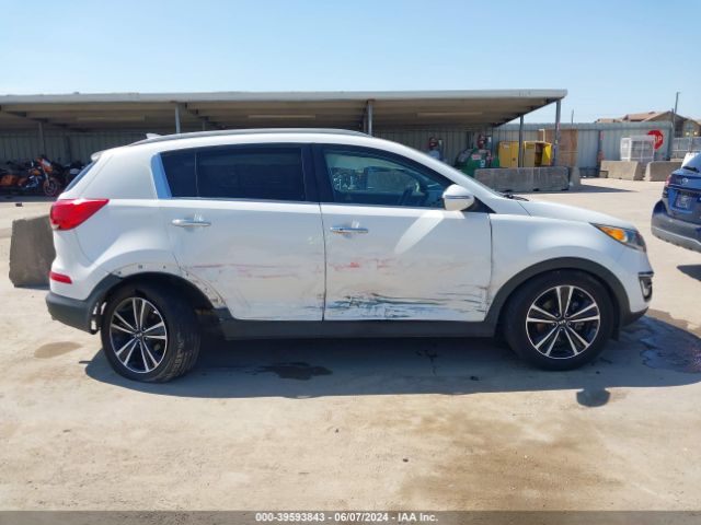 KNDPC3A65G7840190 KIA Sportage Sx