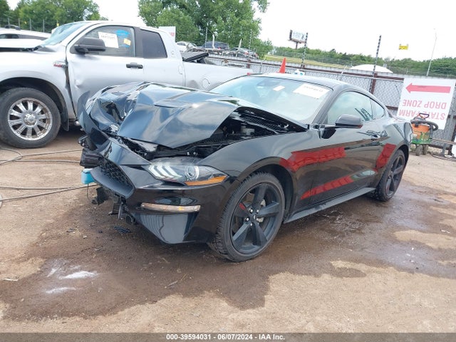 Ford Mustang Ecoboost Fastback 2021 1FA6P8TH6M5137979 Image 2