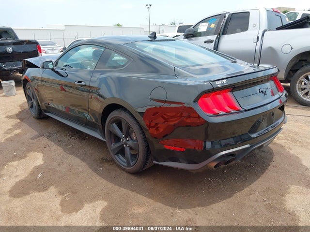 Ford Mustang Ecoboost Fastback 2021 1FA6P8TH6M5137979 Image 3