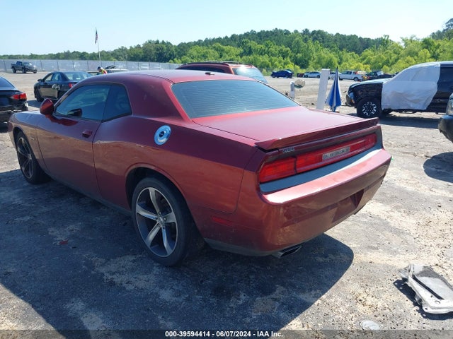 Dodge Challenger Sxt 100th Anniversary Appearance Group 2014 2C3CDYAG5EH247629 Image 3