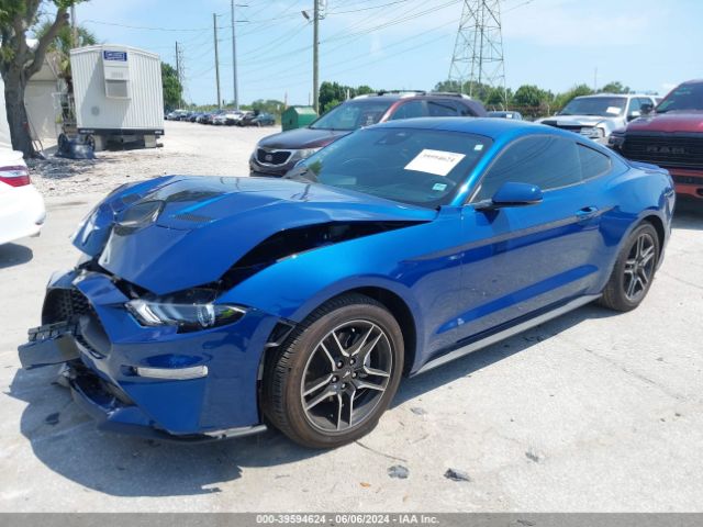 2023 FORD MUSTANG 1FA6P8THXP5106397 Photo 1