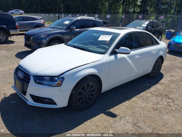 WAUAFAFLXEN034903 Audi A4 2.0t Premium