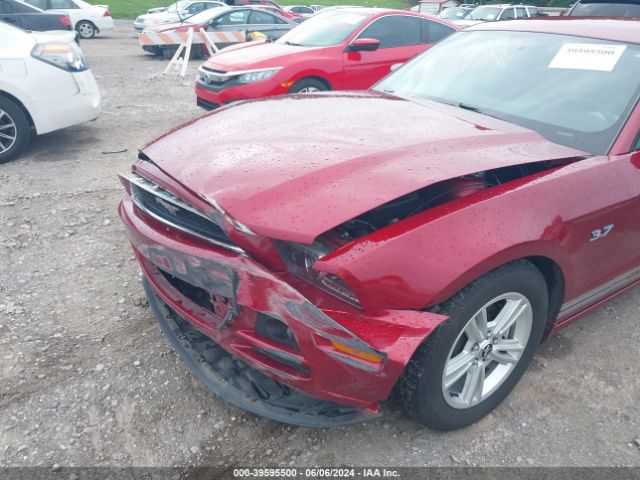 1ZVBP8AM2E5203841 Ford Mustang V6