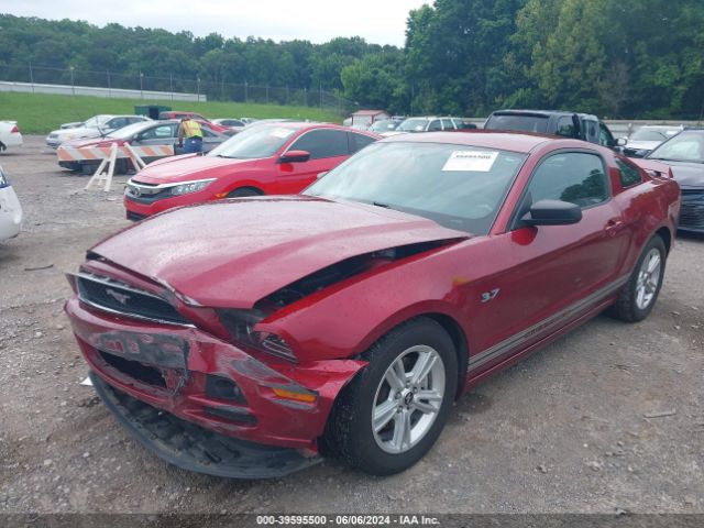 1ZVBP8AM2E5203841 Ford Mustang V6
