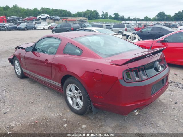 1ZVBP8AM2E5203841 Ford Mustang V6