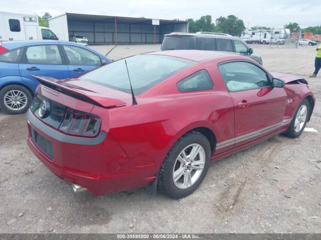 1ZVBP8AM2E5203841 Ford Mustang V6
