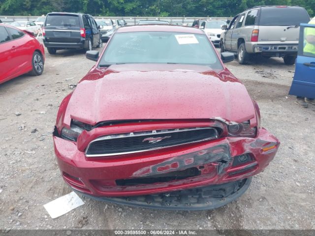 1ZVBP8AM2E5203841 Ford Mustang V6