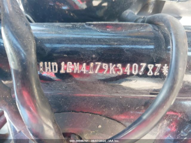 2009 HARLEY-DAVIDSON FXD 1HD1GM4179K340787 Photo 9