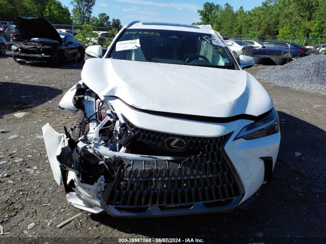 2T2GGCEZ3RC046231 Lexus Nx 350 Premium