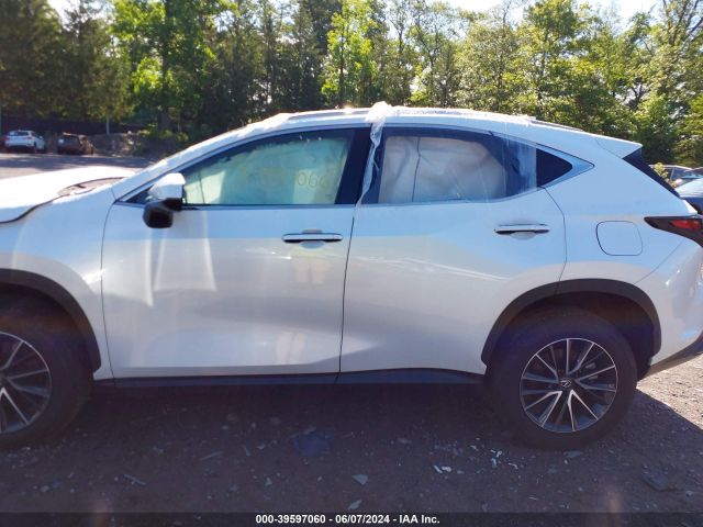 2T2GGCEZ3RC046231 Lexus Nx 350 Premium