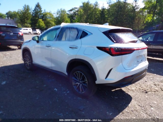 2T2GGCEZ3RC046231 Lexus Nx 350 Premium